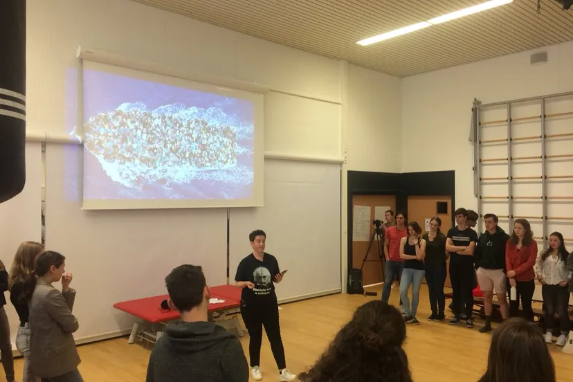 prep2joostvanwijchend6s7pp5xkaex9yl