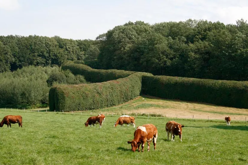 q3dozq7koedmj6ujauww5sm3r mariendaal groene20bedstee