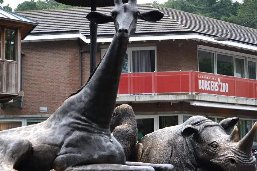 qutvzfec3q0231by921pz4jbz burgerszooarnhemnieuwssvenhans20140813 6