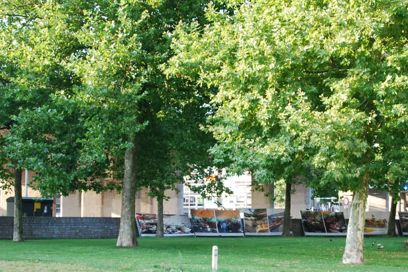 r3lpd3zd4otkp57mmhrm429z7 groenarnhemnieuws