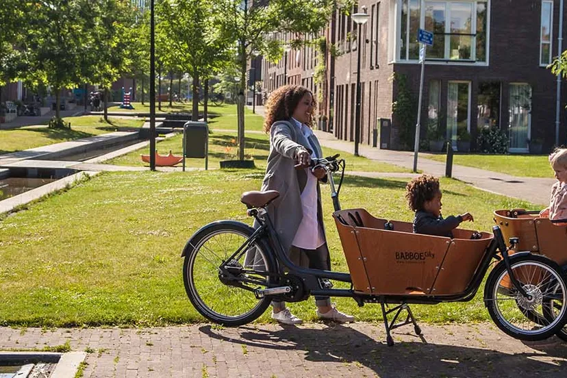 recallbaboe 1920x570 1 2