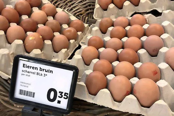 recallscharreleieren3sterblkcoop2020 07 212jfif 0001