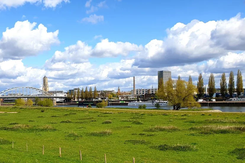 rijn cr humanistisch verbond