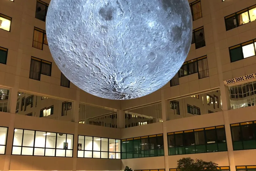 rijnstatemaan img 20221210 wa0000