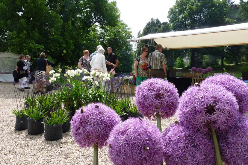 rosendael agapanthusdagen lc 15 103