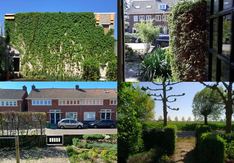 rozetcollage van arnhem