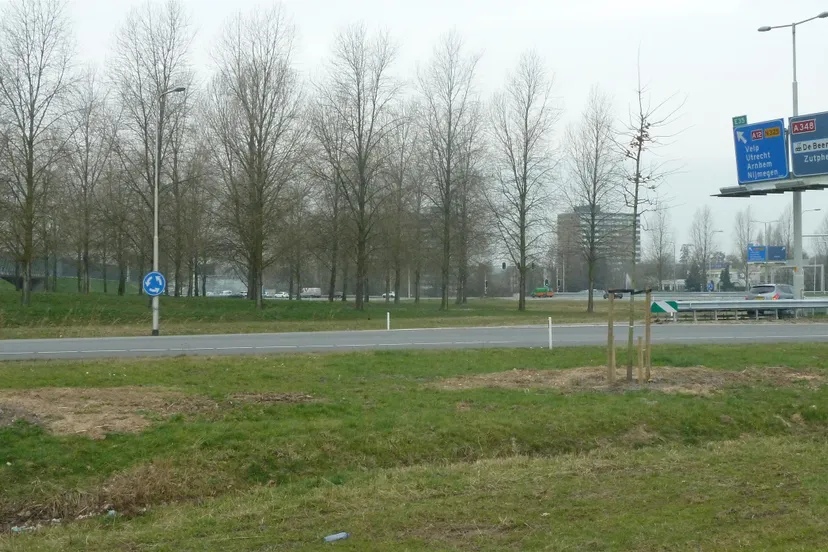 rpdgw8crhke56qbr4jqhatpx5 velperbroekarnhemnieuws