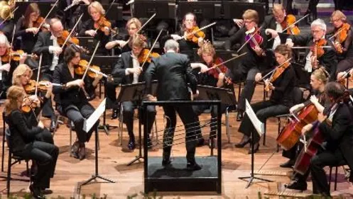 rrpq5f5v193sqr0s9awphbt3b hgostrijkersarnhem