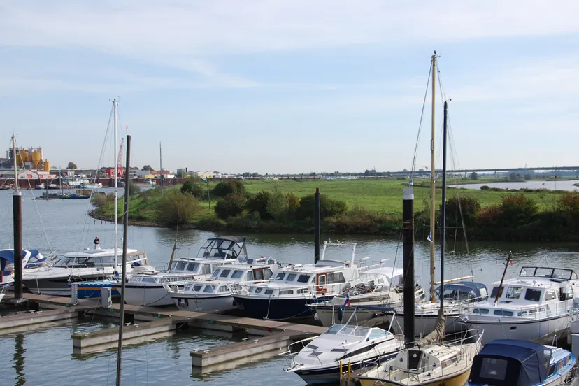 rvw71vd9n6gmemg4jr39gzo8g kleefse waard en koningspleijarnhem nieuws