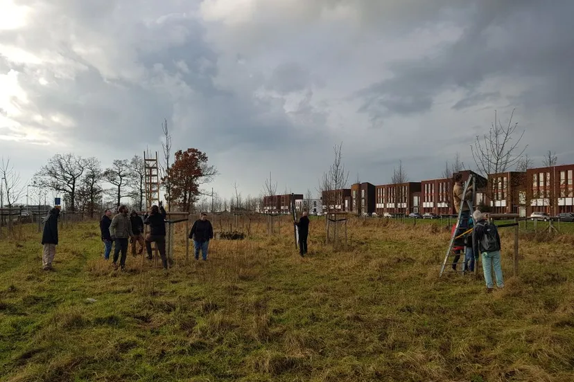 schuytgraafwerkindebongerd