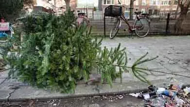 sdf4vafmd3hly4iqq879it1of su6sb71lvtiqsy1222s20qyqk w500 c