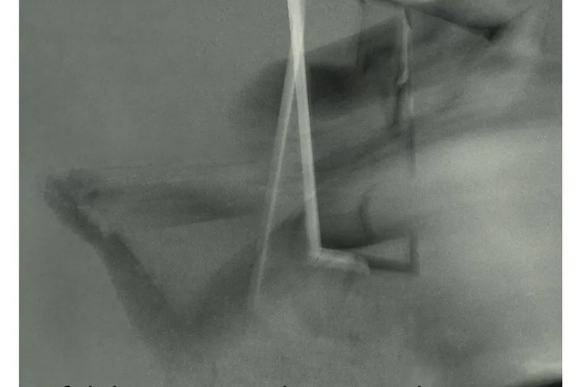 sjoerd schwibettuswaalse kerk001 17