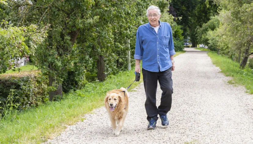 stichtingoopoehjan1140x470