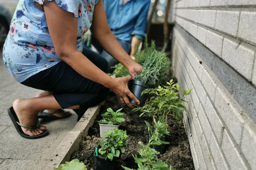 tegelwippenraymondlandegent