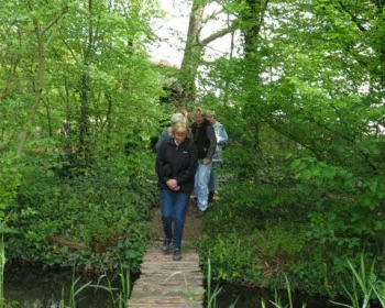 tgit33grjjnv3s3ntc18ri8eg 205218