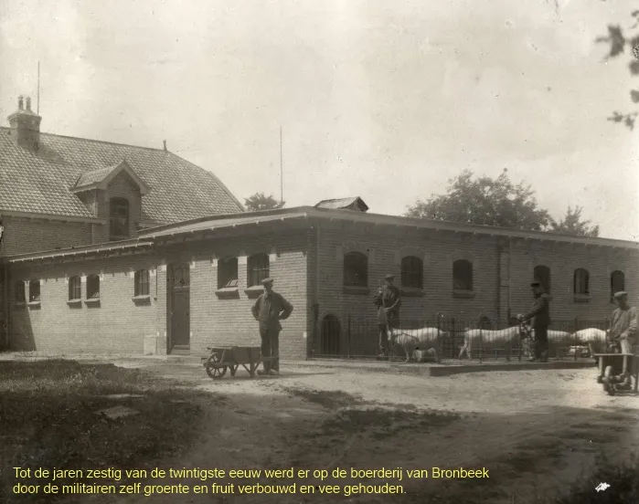 tkklihjs6wszaqj9i3z03t1b1 186302