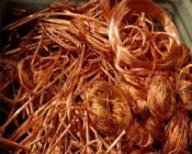 u0bi2kirf7lb6rkfcg7x4j03q 213828