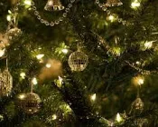 v9haqz84i6exq05hbw2hcopzq 195214