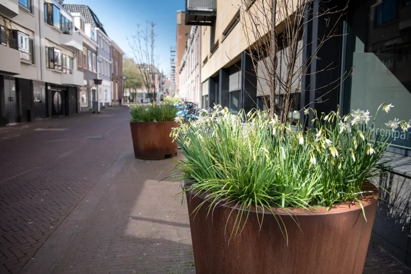 vergroeningbinnenstad