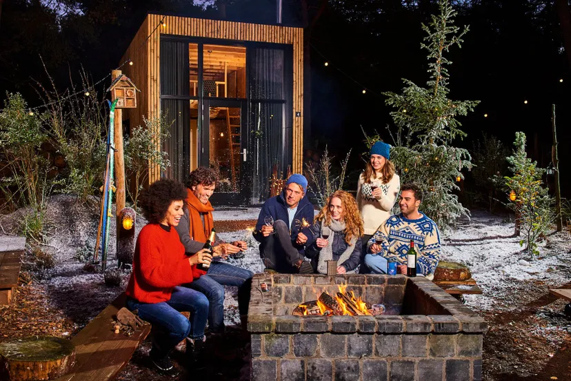 visitveluwehuis tiny house droomparken winter 2017 nkp2804