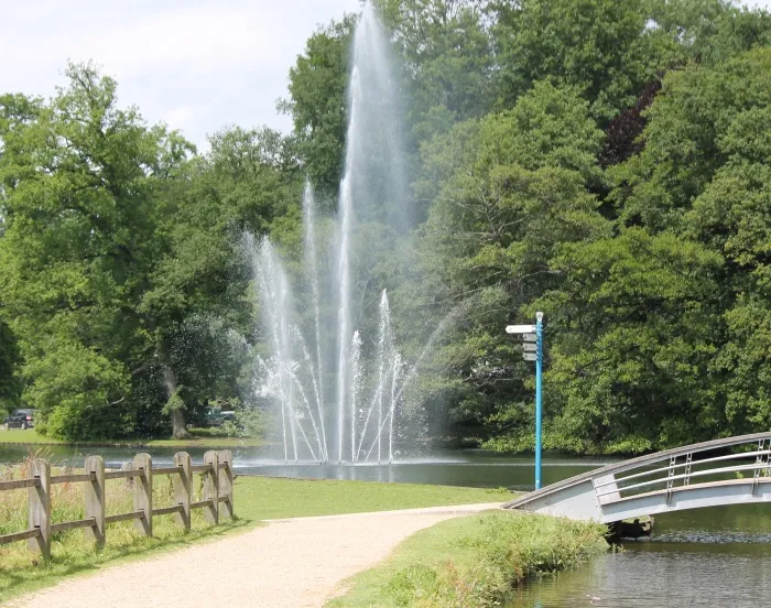 vs248ldj6ggrh97chz7ksrbtp 156542