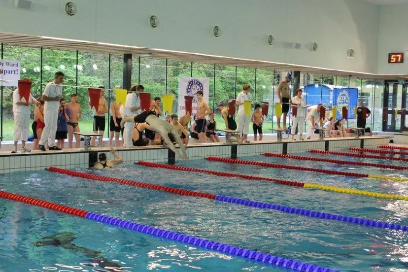 w0gmkzho8rrlzbahfkv73l0wf img0466