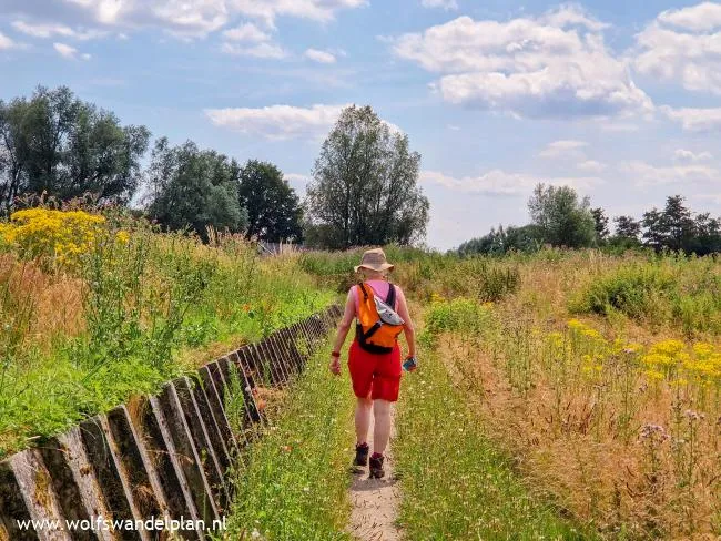 wandelzoekpaginafoto73515b