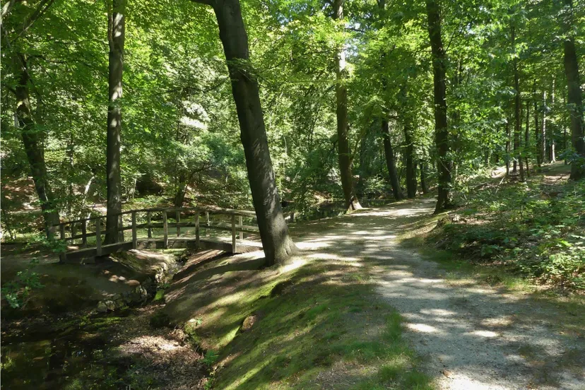 warnsborn bekenloopivn