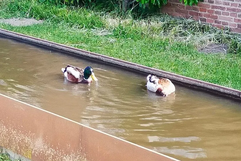 watermuseumgeslotennieuwsbericht uitgelicht 3 1080x627 1