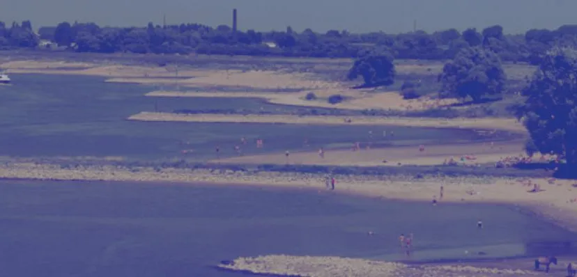 waterstanden rijn riwa