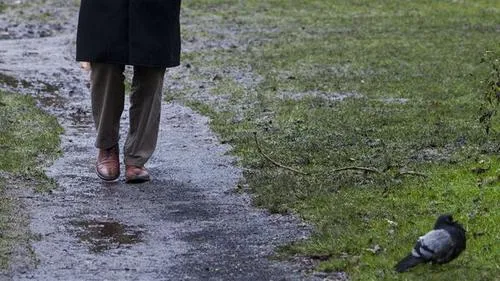 xcic5jud88kezfyccefdbq4hm q4tl266z9gyfz1mng41tkden4 w500 c