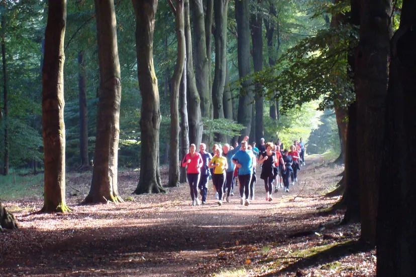 xvt50d02ty5my7yaly03bv3ma hollen20bij20gelre