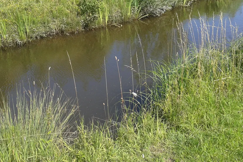 y1dvdesrlps0tpcb6xqe2t6uw waterkantarnhemnieuws 1