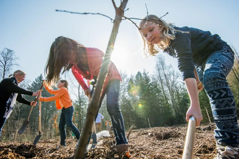 y7s9i1cxboxzatww81cr7l4jq glgkboomplantdagrosendael2014rs 34 foto rob schouten