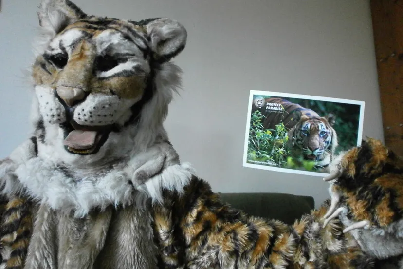 yqagp0qk61ctqbj0q0663ugm1 tijgeractie