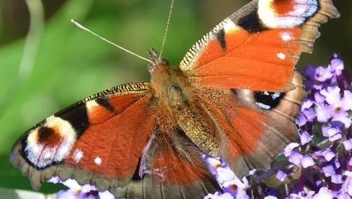 yqnl04t7t79zi2do3xzrxzzrs vlinderanphq