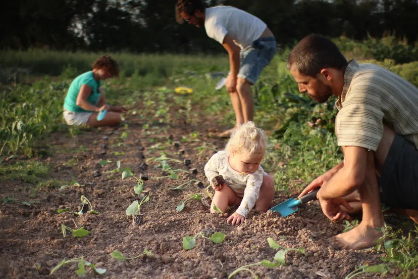 zelfoogsttuin de brouwketel in huissen img 3767