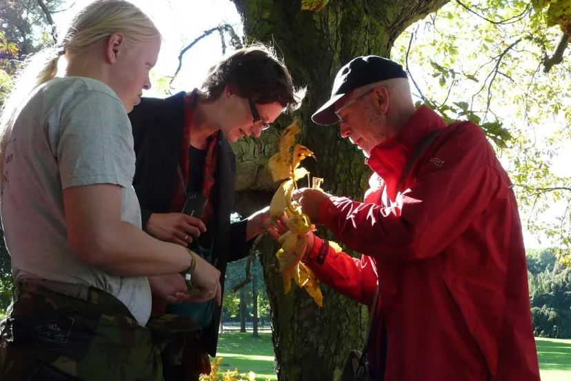 zh8caa5u1ql1fif31coz19iba groencursus nivon arnhemfoto martin van rijn van atteveldt