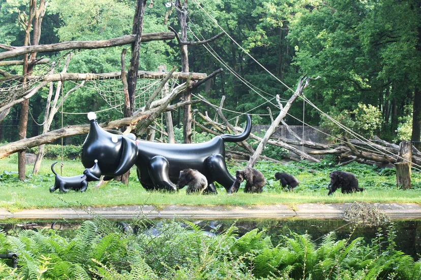 zhs1pc7ptjkxab7eqph95md0g takkie20in20burgers2720zoo