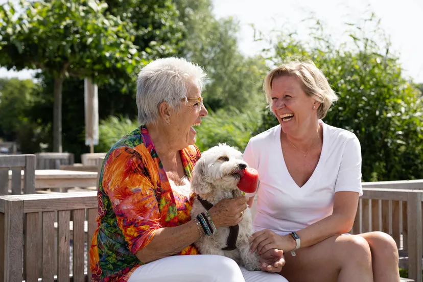 zomercampagne oopoeh toos4