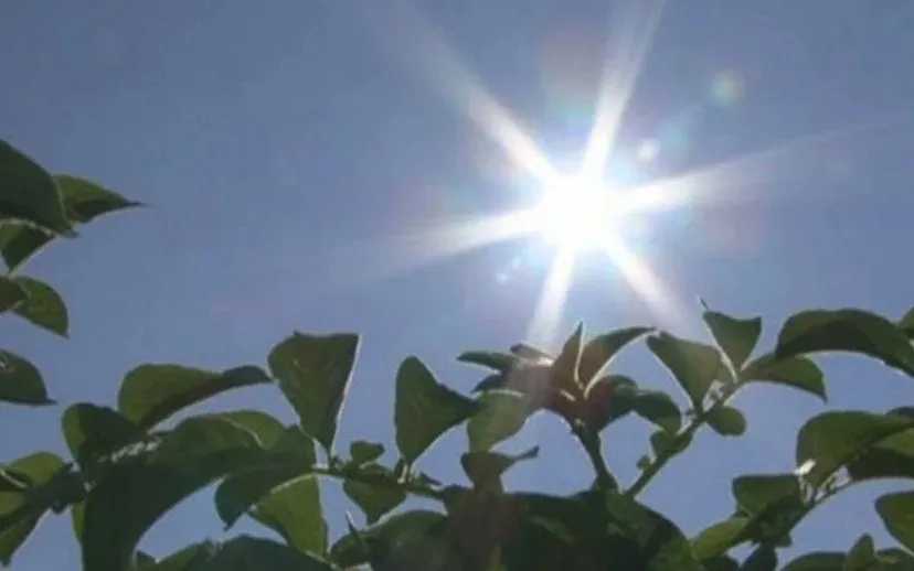 zon 915x518rhedennieuws