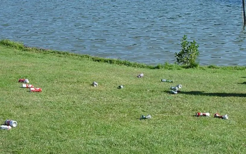 zwerfafvalhandigeharrywikimedia 915x518 1