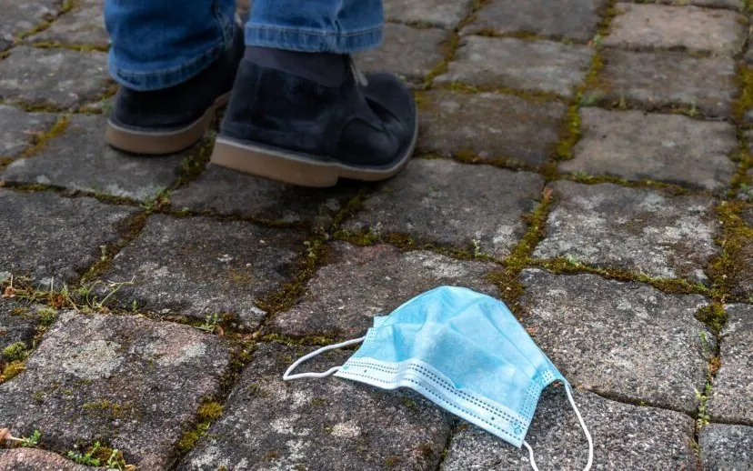 zwerfkapje analogicus pixabay 915x518 1