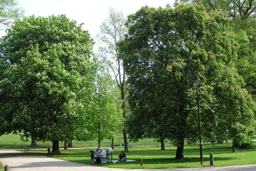 zyxyryzg63z1v8fhkglq7tj9r kastanjes