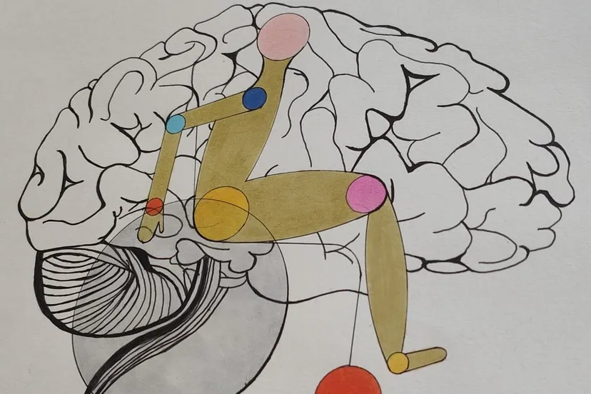 art without bordersstories from refugees suitcases