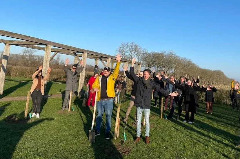 succesverhalennweburgers 96