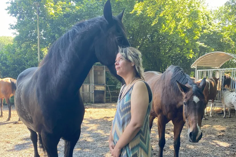 traject bij de paarden herstel na kanker