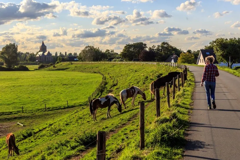 wandelnetwerk arnhemnijmegenjpg jpeg afbeelding 1280 640 pixels