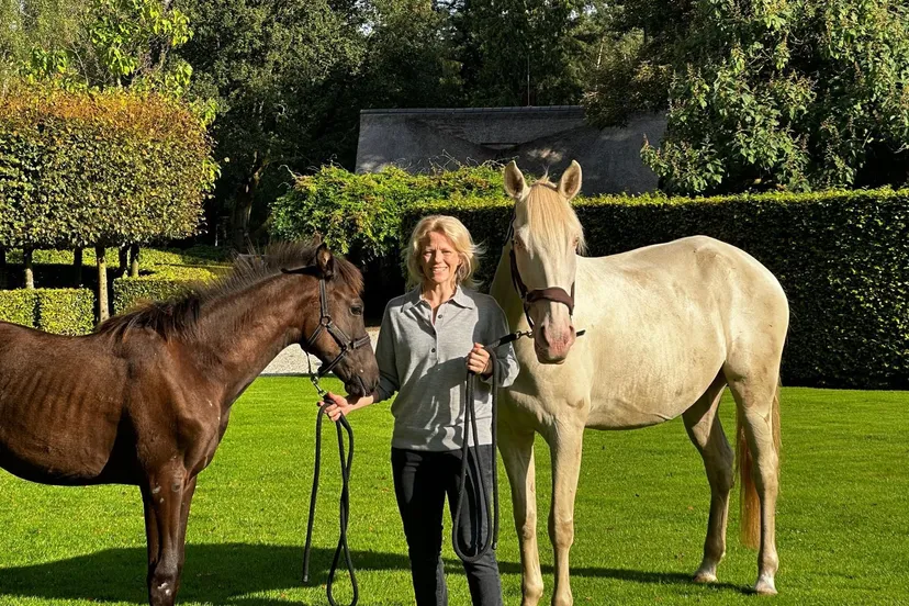 inga wolframm biodiverse paardenhouderij