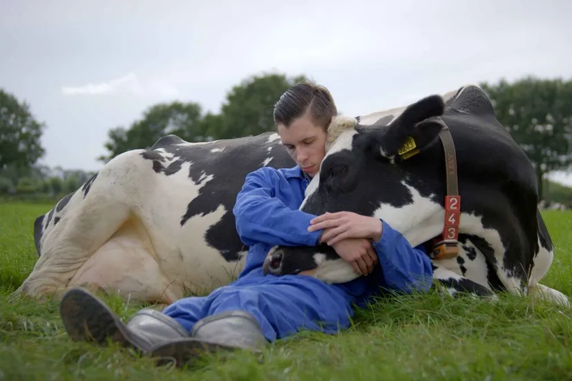 mijn grote broer st 1 jpg sd low